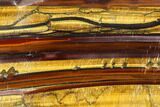Polished Tiger's Iron Slab - South Africa #113013-1